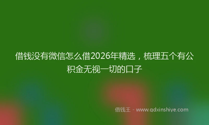 借钱没有微信怎么借2026年精选，梳理五个有公积金无视一切的口子