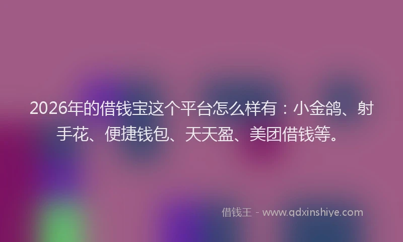 2026年的借钱宝这个平台怎么样有：小金鸽、射手花、便捷钱包、天天盈、美团借钱等。