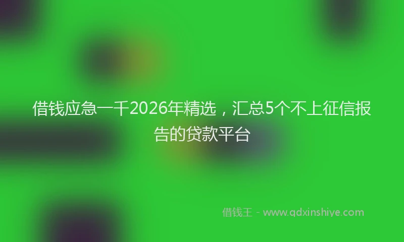 借钱应急一千2026年精选,汇总5个不上征信报告的贷款平台
