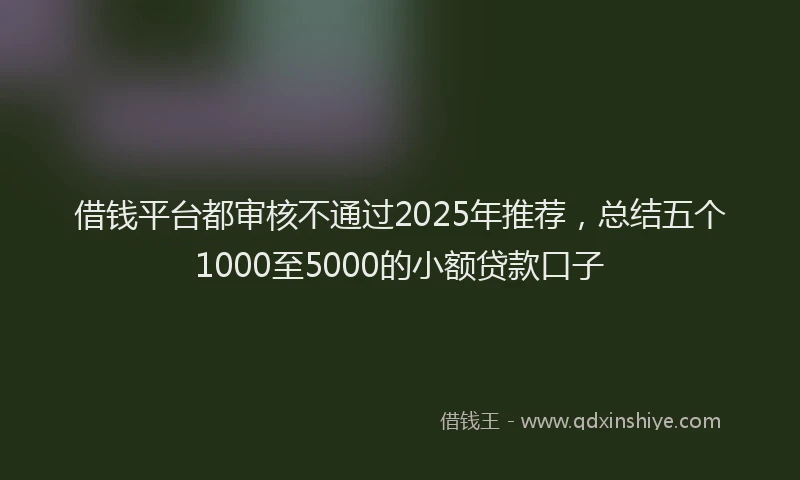 借钱平台都审核不通过2025年推荐，总结五个1000至5000的小额贷款口子