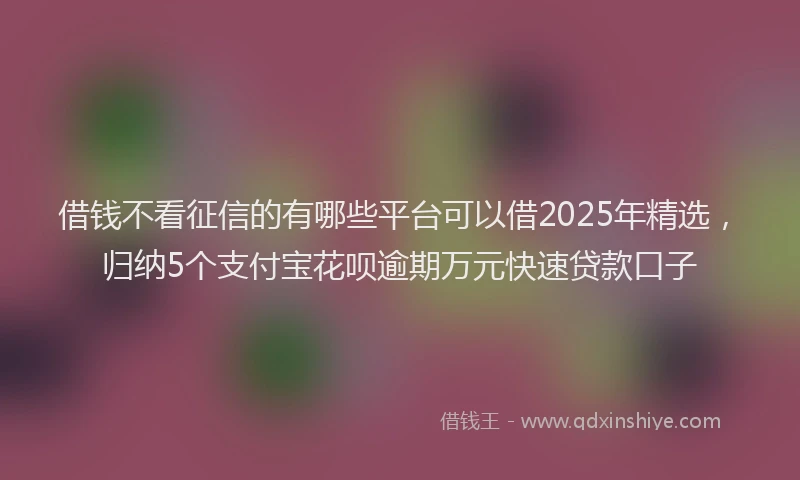 借钱不看征信的有哪些平台可以借2025年精选,归纳5个支付宝花呗逾期万元快速贷款口子