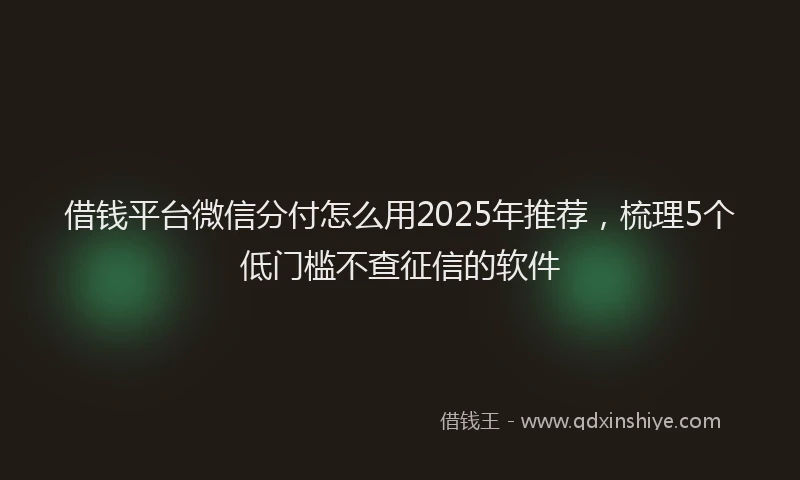 借钱平台微信分付怎么用2025年推荐,梳理5个低门槛不查征信的软件