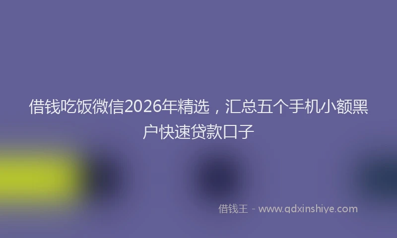 借钱吃饭微信2026年精选，汇总五个手机小额黑户快速贷款口子
