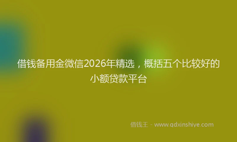 借钱备用金微信2026年精选，概括五个比较好的小额贷款平台
