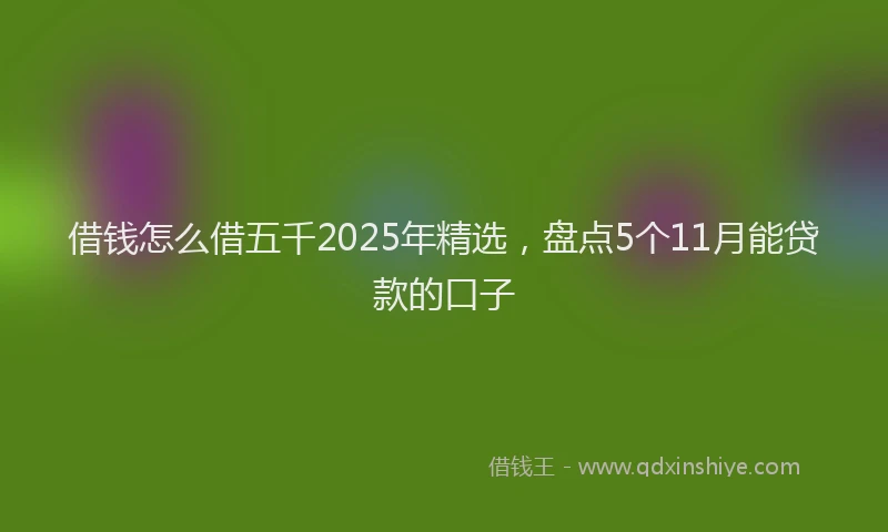 借钱怎么借五千2025年精选，盘点5个11月能贷款的口子