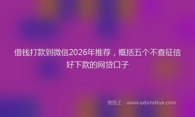 借钱打款到微信2026年推荐，概括五个不查征信好下款的网贷口子