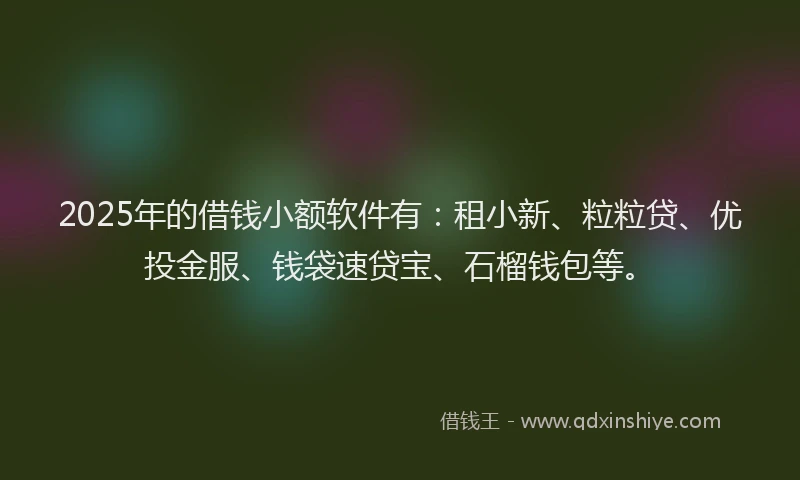 2025年的借钱小额软件有：租小新、粒粒贷、优投金服、钱袋速贷宝、石榴钱包等。
