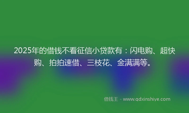 2025年的借钱不看征信小贷款有:闪电购、超快购、拍拍速借、三枝花、金满满等。