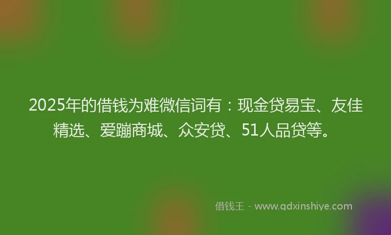 2025年的借钱为难微信词有：现金贷易宝、友佳精选、爱蹦商城、众安贷、51人品贷等。