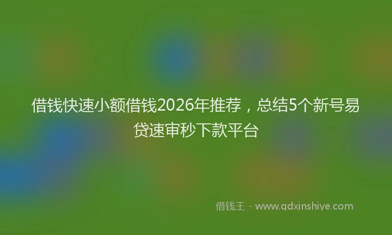 借钱快速小额借钱2026年推荐，总结5个新号易贷速审秒下款平台