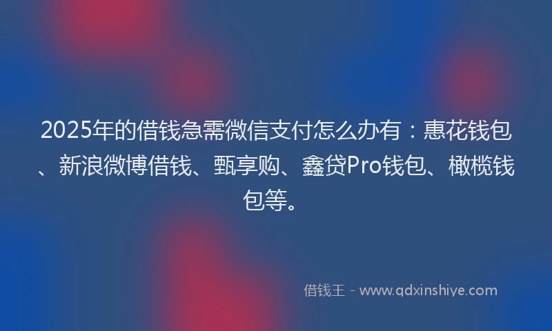 2025年的借钱急需微信支付怎么办有：惠花钱包、新浪微博借钱、甄享购、鑫贷Pro钱包、橄榄钱包等。