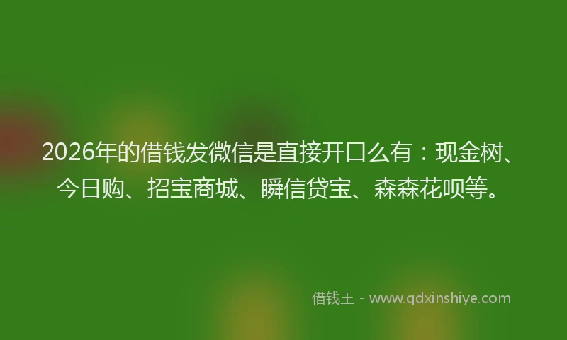 2026年的借钱发微信是直接开口么有：现金树、今日购、招宝商城、瞬信贷宝、森森花呗等。