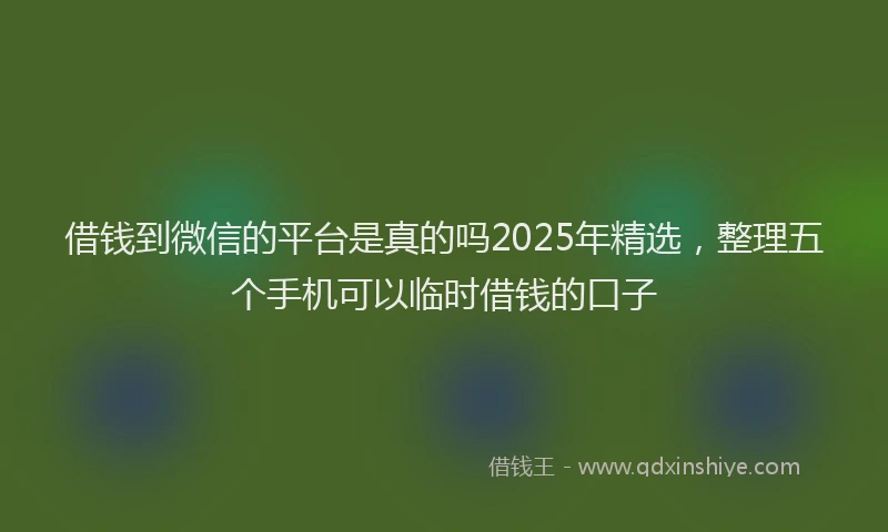 借钱到微信的平台是真的吗2025年精选,整理五个手机可以临时借钱的口子