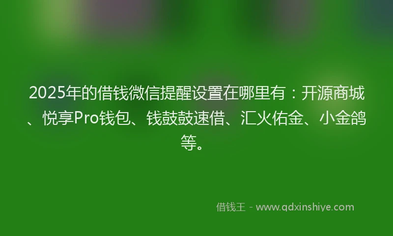 2025年的借钱微信提醒设置在哪里有：开源商城、悦享Pro钱包、钱鼓鼓速借、汇火佑金、小金鸽等。