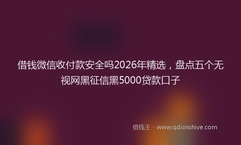 借钱微信收付款安全吗2026年精选，盘点五个无视网黑征信黑5000贷款口子