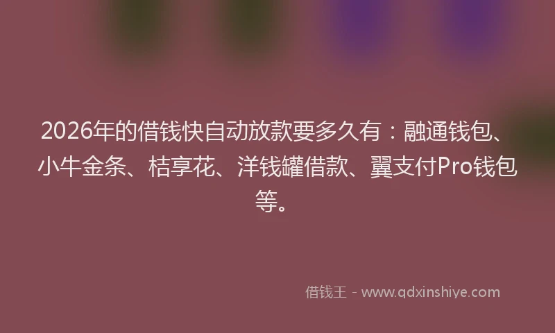 2026年的借钱快自动放款要多久有:融通钱包、小牛金条、桔享花、洋钱罐借款、翼支付Pro钱包等。