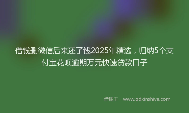 借钱删微信后来还了钱2025年精选,归纳5个支付宝花呗逾期万元快速贷款口子