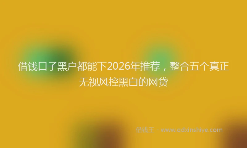 借钱口子黑户都能下2026年推荐，整合五个真正无视风控黑白的网贷
