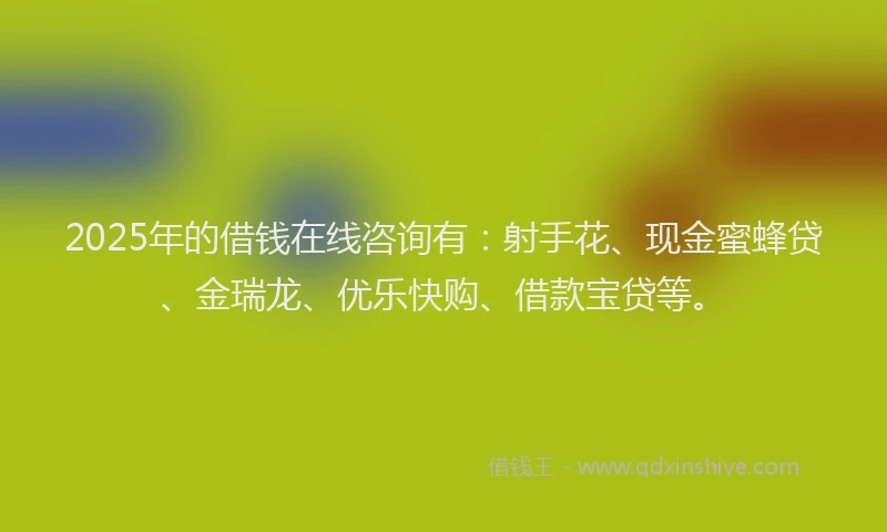 2025年的借钱在线咨询有：射手花、现金蜜蜂贷、金瑞龙、优乐快购、借款宝贷等。