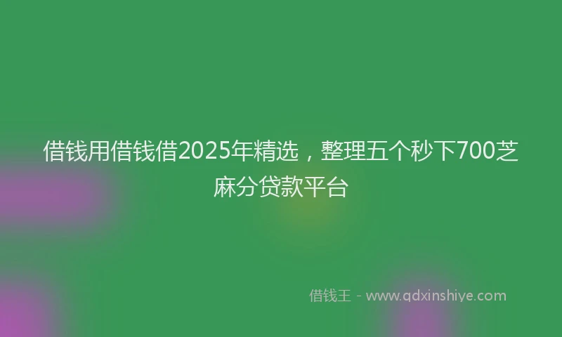 借钱用借钱借2025年精选，整理五个秒下700芝麻分贷款平台