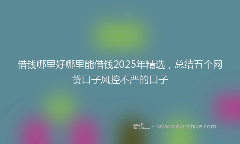 借钱哪里好哪里能借钱2025年精选，总结五个网贷口子风控不严的口子