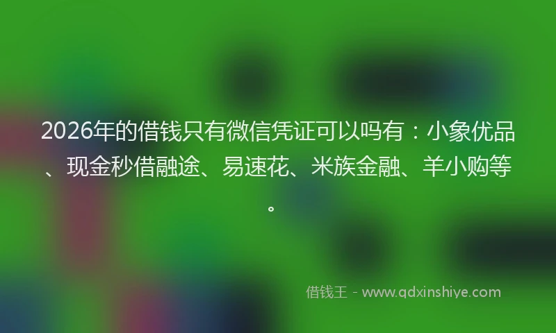 2026年的借钱只有微信凭证可以吗有：小象优品、现金秒借融途、易速花、米族金融、羊小购等。