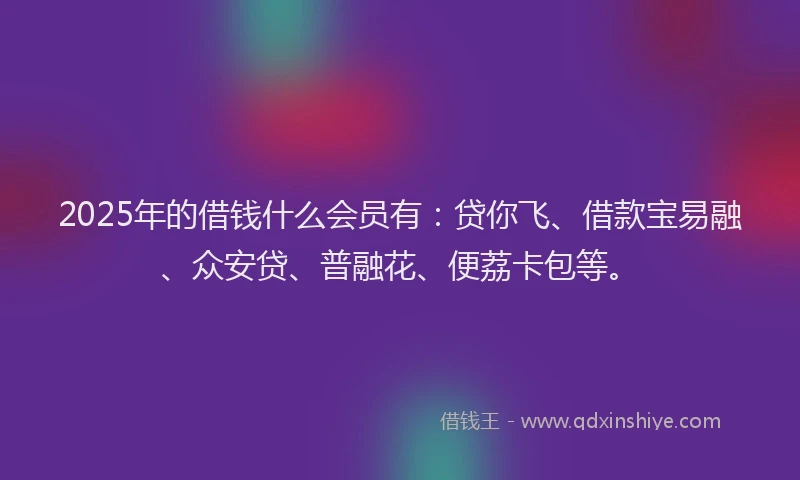 2025年的借钱什么会员有：贷你飞、借款宝易融、众安贷、普融花、便荔卡包等。