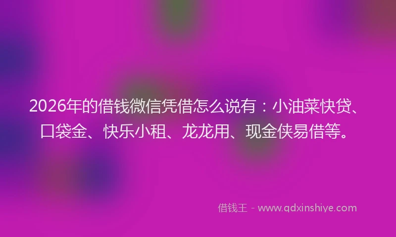 2026年的借钱微信凭借怎么说有：小油菜快贷、口袋金、快乐小租、龙龙用、现金侠易借等。