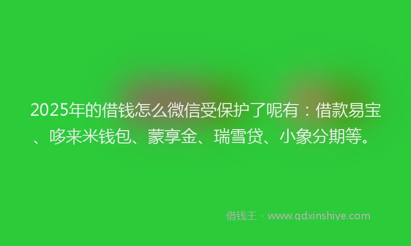 2025年的借钱怎么微信受保护了呢有：借款易宝、哆来米钱包、蒙享金、瑞雪贷、小象分期等。