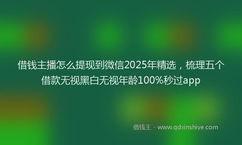 借钱主播怎么提现到微信2025年精选，梳理五个借款无视黑白无视年龄100%秒过app