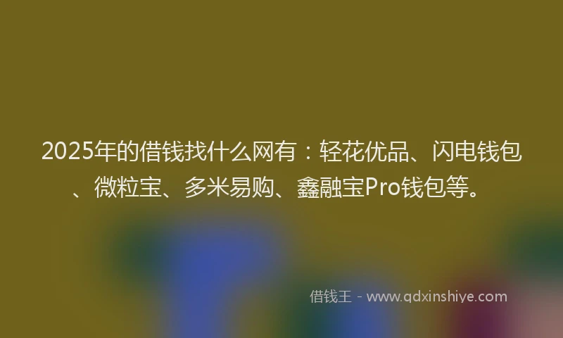 2025年的借钱找什么网有:轻花优品、闪电钱包、微粒宝、多米易购、鑫融宝Pro钱包等。