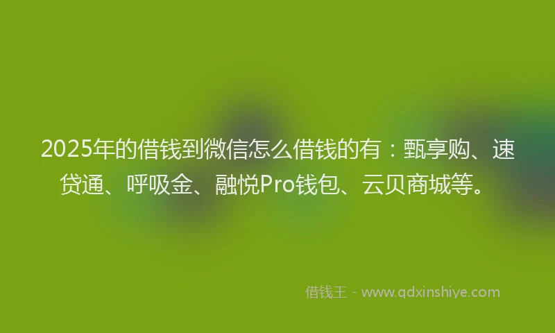 2025年的借钱到微信怎么借钱的有：甄享购、速贷通、呼吸金、融悦Pro钱包、云贝商城等。
