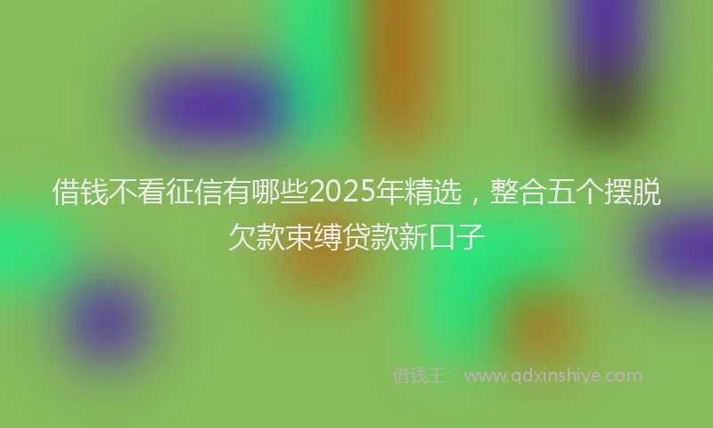借钱不看征信有哪些2025年精选，整合五个摆脱欠款束缚贷款新口子