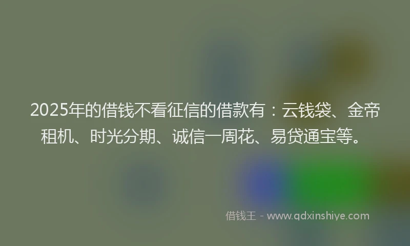 2025年的借钱不看征信的借款有：云钱袋、金帝租机、时光分期、诚信一周花、易贷通宝等。