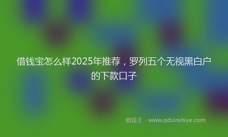 借钱宝怎么样2025年推荐，罗列五个无视黑白户的下款口子