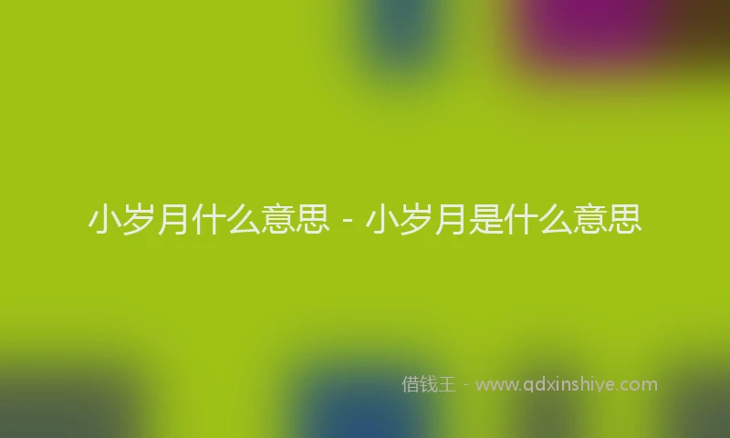 小岁月什么意思 - 小岁月是什么意思