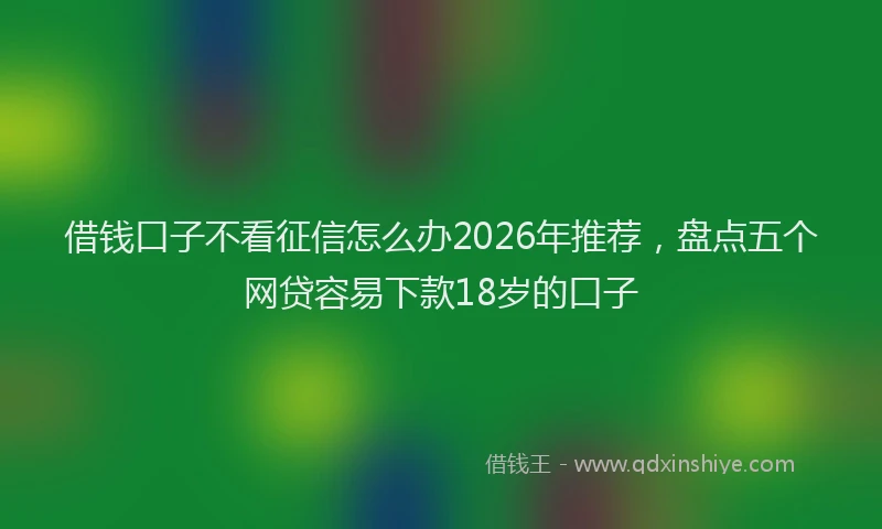 借钱口子不看征信怎么办2026年推荐,盘点五个网贷容易下款18岁的口子