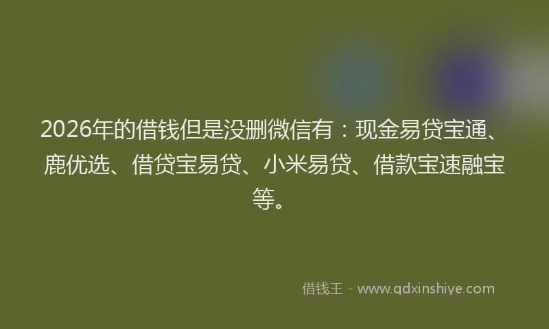 2026年的借钱但是没删微信有：现金易贷宝通、鹿优选、借贷宝易贷、小米易贷、借款宝速融宝等。