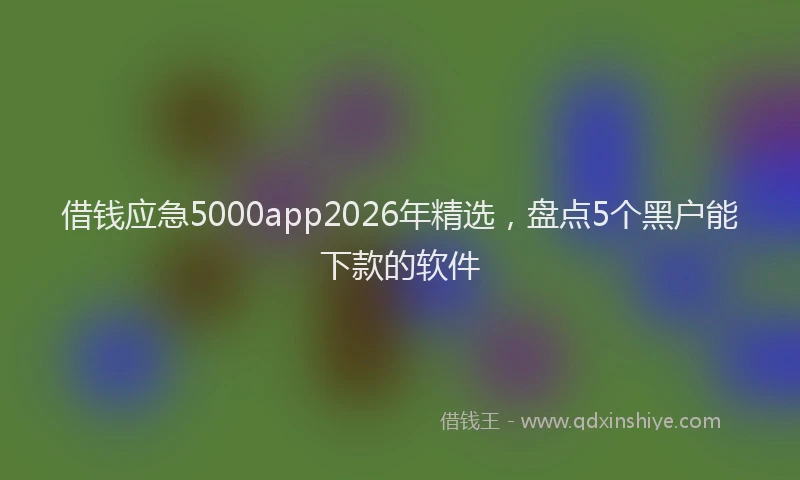 借钱应急5000app2026年精选，盘点5个黑户能下款的软件