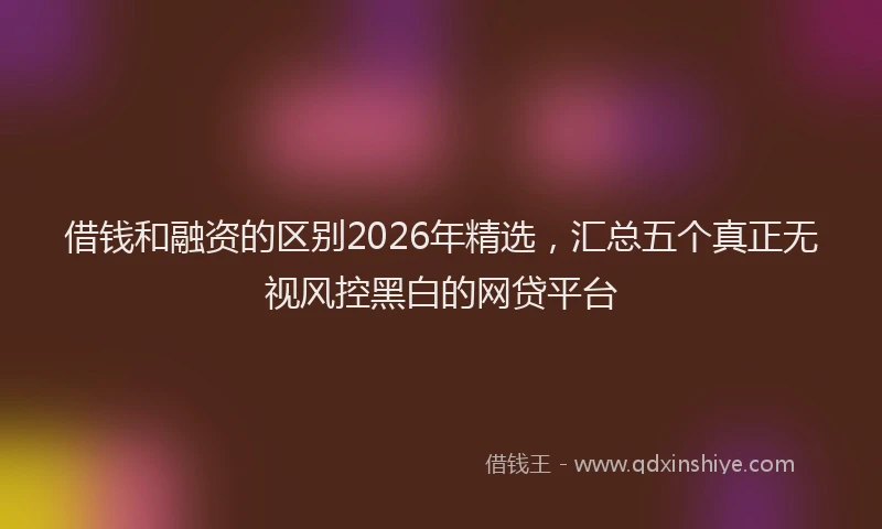 借钱和融资的区别2026年精选,汇总五个真正无视风控黑白的网贷平台