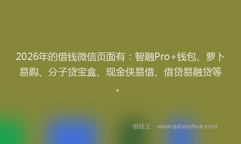 2026年的借钱微信页面有：智融Pro+钱包、萝卜易购、分子贷宝盒、现金侠易借、借贷易融贷等。