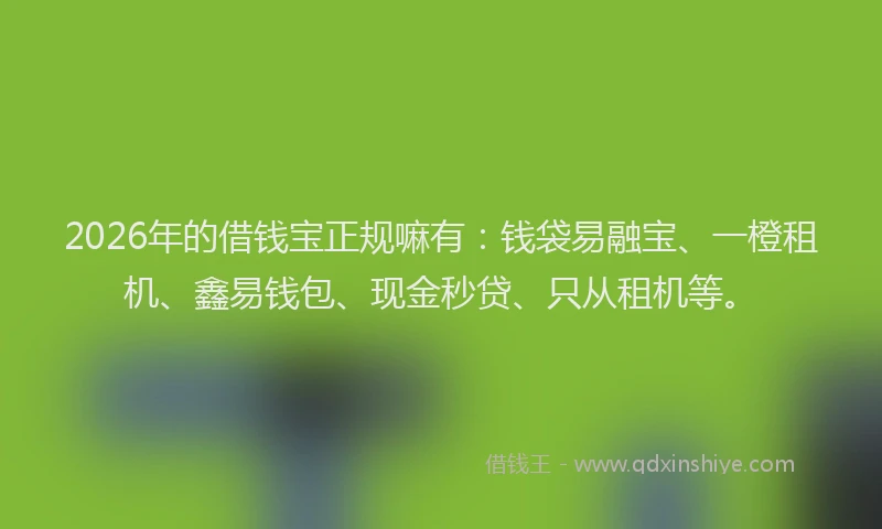 2026年的借钱宝正规嘛有：钱袋易融宝、一橙租机、鑫易钱包、现金秒贷、只从租机等。