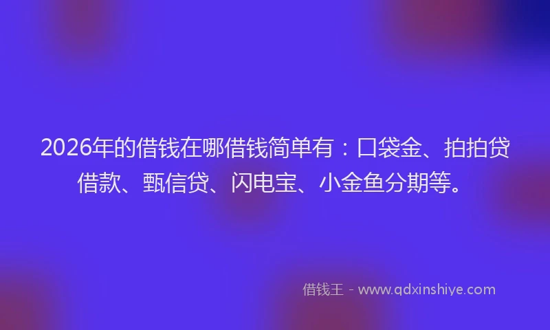 2026年的借钱在哪借钱简单有:口袋金、拍拍贷借款、甄信贷、闪电宝、小金鱼分期等。
