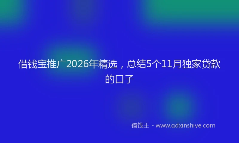 借钱宝推广2026年精选，总结5个11月独家贷款的口子