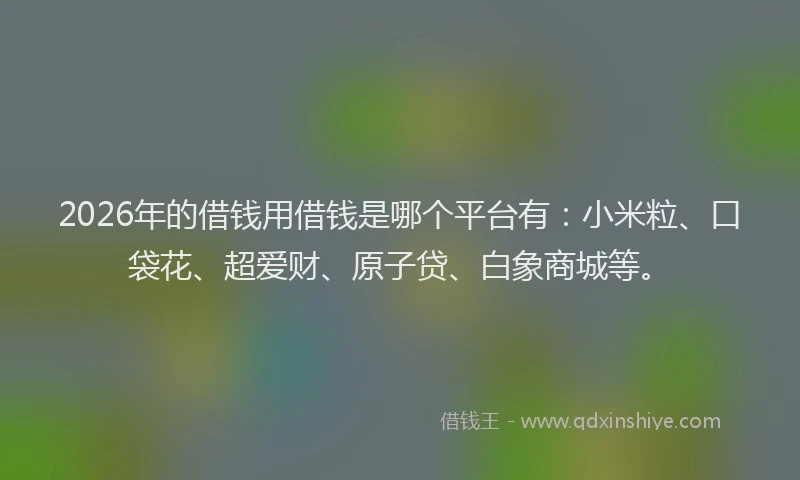 2026年的借钱用借钱是哪个平台有：小米粒、口袋花、超爱财、原子贷、白象商城等。
