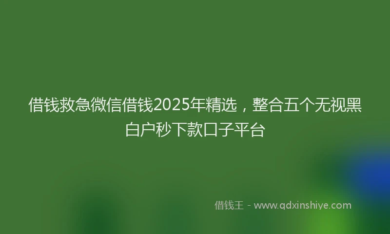借钱救急微信借钱2025年精选，整合五个无视黑白户秒下款口子平台