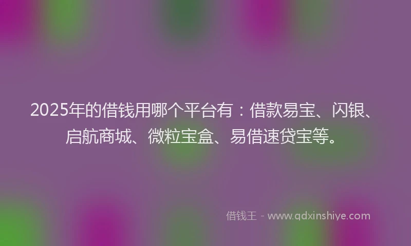 2025年的借钱用哪个平台有：借款易宝、闪银、启航商城、微粒宝盒、易借速贷宝等。