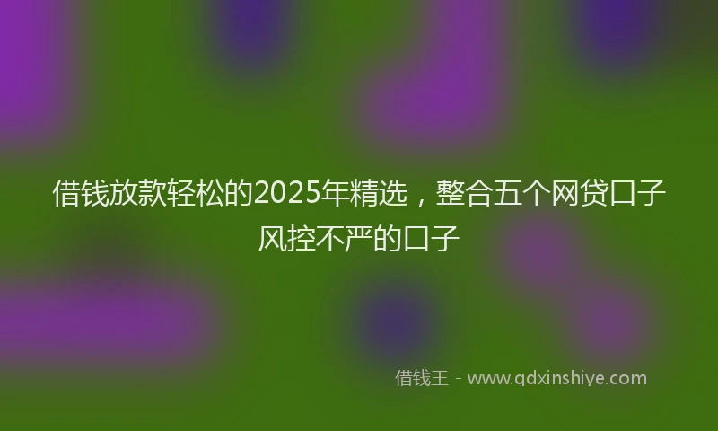借钱放款轻松的2025年精选,整合五个网贷口子风控不严的口子