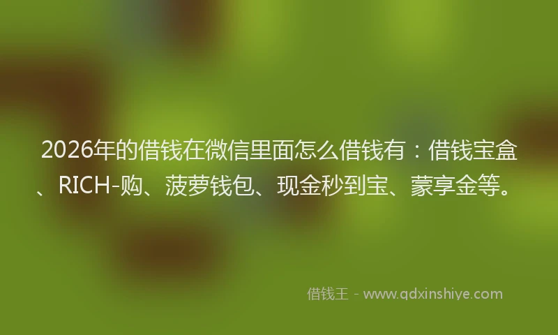 2026年的借钱在微信里面怎么借钱有：借钱宝盒、RICH-购、菠萝钱包、现金秒到宝、蒙享金等。