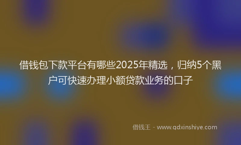 借钱包下款平台有哪些2025年精选，归纳5个黑户可快速办理小额贷款业务的口子